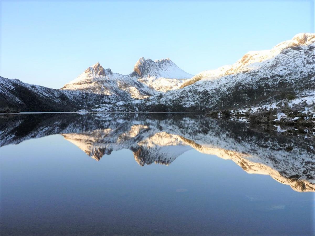 Cradle Alpine Retreat Bed and Breakfast Moina Buitenkant foto